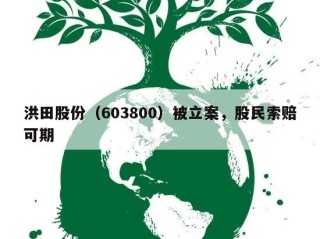 洪田股份（603800）被立案，股民索赔可期