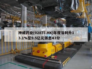 神威药业(02877.HK)年度溢利升13.1%至9.5亿元派息43分