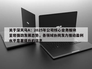 关于深天马A：2025年公司核心业务板块呈现强劲发展态势，各领域协同发力推动盈利水平显著提升的信息